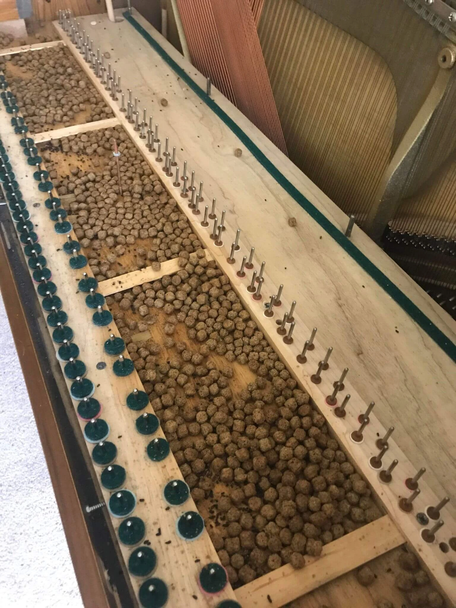 Cleaning out a neglected Baldwin console piano