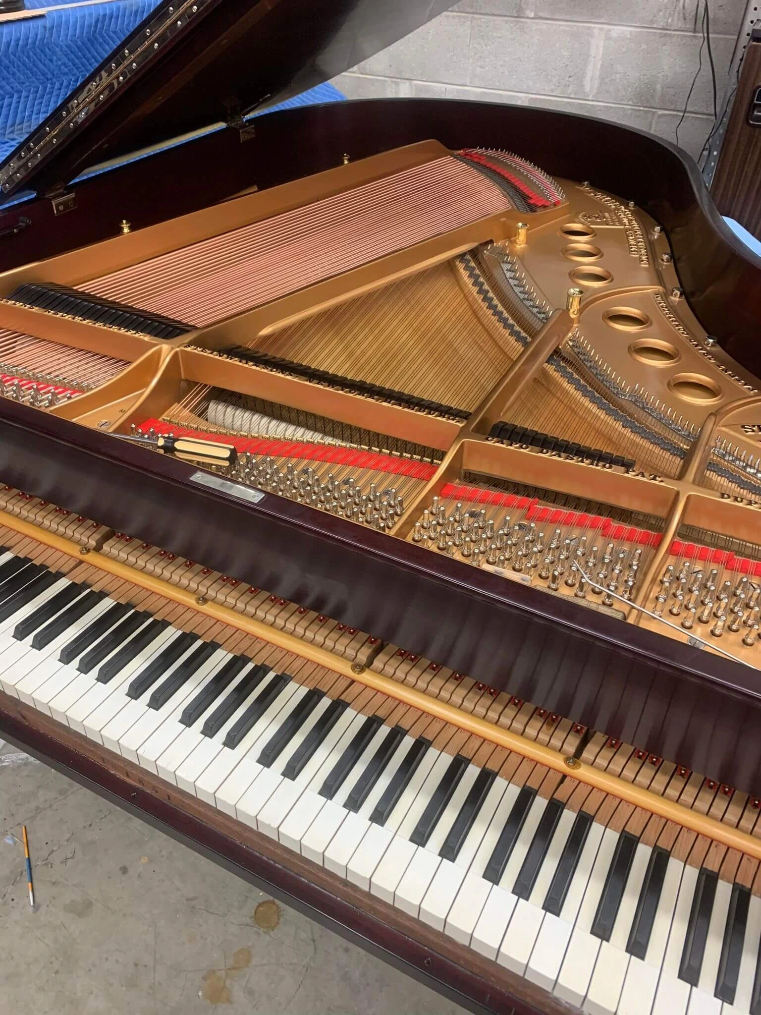 A puppy sits by a Steinway piano